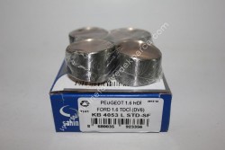 Rektefiye Listesi 1.6 TDCİ 0.60mm - 6